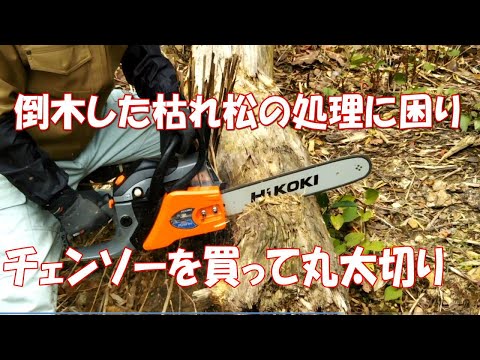 畑に倒木した枯松を切る為チェンソーを購入【HiKOKIエンジンチェンソーCS33EB】