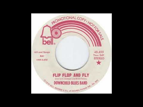 Downchild Blues Band - Flip Flop And Fly (1974)