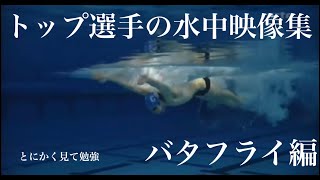 トップ選手の水中映像を見て勉強しよう！〜第1弾バタフライ編〜