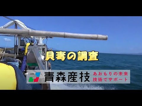 貝毒の調査　WS04【水産総合研究所】