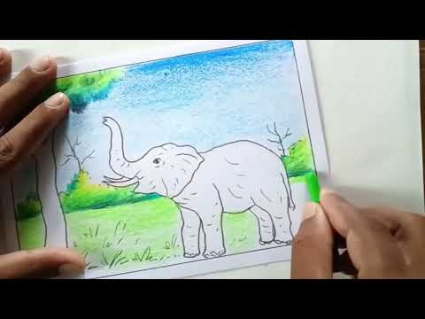 How to draw Elephant / Elephant drawing easy step by step