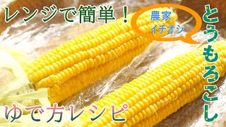 とうもろこしをレンジで簡単調理！農家イチオシゆで方レシピ