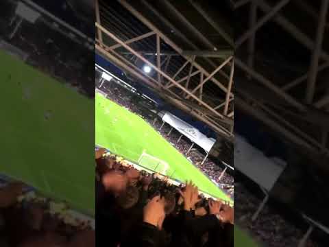 “MAULED BY THE TIGERS” - Hull City Fans At Fulham