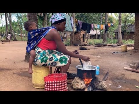 African Village Life #cooking Dried Snake Fish With Garden Egg For Dinner