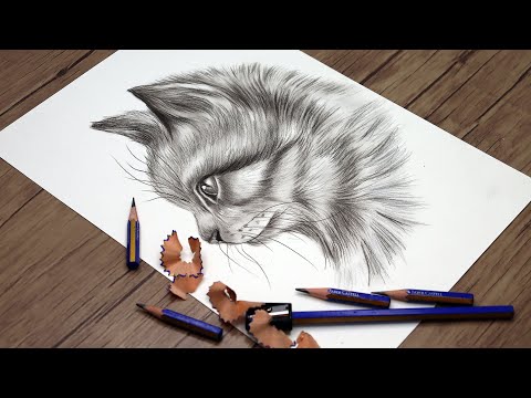 How to Draw a Cat Head with Pencils | Cat Sketch Step by Step