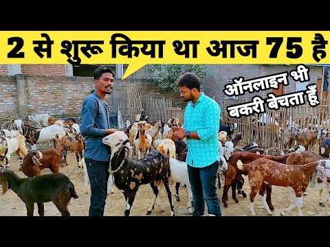 बकरी पालन के बिजनेस मॉडल ने तक़दीर बदल दी, बेचता हूँ ऑनलाइन बकरियां | goat market tour | bakra mandi