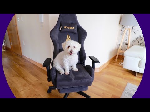 SYMINO Gaming Chair - I love it