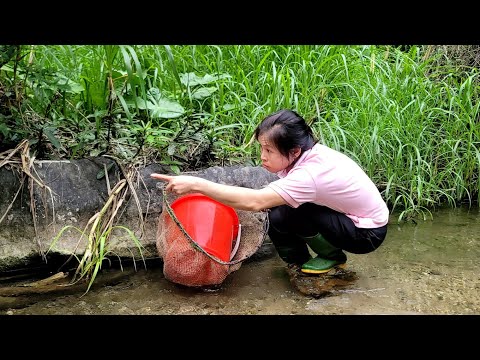 29 days of gardening, harvesting vegetables to sell on the street