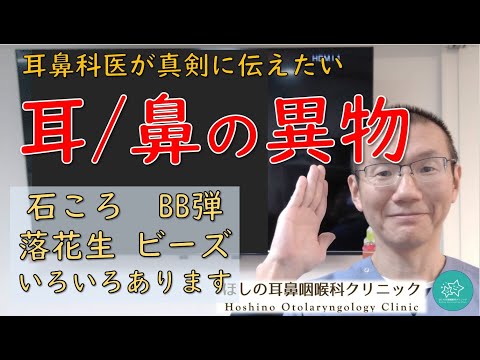 耳や鼻の中に、石ころ、BB弾、落花生、ビーズなどを入れてしまった場合は・・・