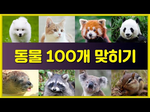 동물 100개를 맞혀보세요 | 동물 퀴즈 | 3초만에 동물 맞히기