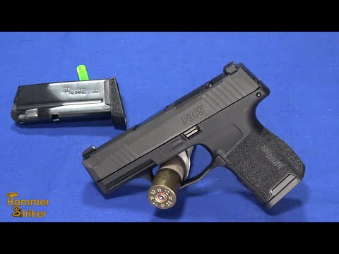 Hands On 1st Look: NEW .380 SIG P365