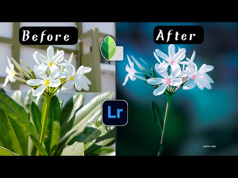 How to Create a PERFECT BACKGROUND BLUR in mobile with SNAPSEED apps | Lightroom| @editortips