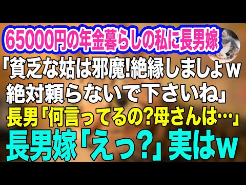 65000円の年金暮らしの私に長男嫁「貧乏な姑は邪魔！絶縁しましょｗ絶対頼らないで下さいね」長男「何言ってるの？母さんは…」長男嫁「えっ？」実はｗ【スカッとする話】