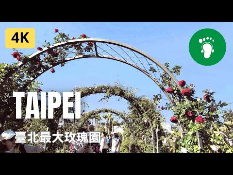 [ 4K ] Taipei | 玫瑰玫瑰我愛你  | Taiwan 2023