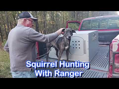 Dry Creek Hunting Dogs  10 19 to 10 20   2023