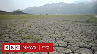 台灣缺水：56年來最嚴重乾旱，降雨能否為曾文水庫解旱？－ BBC News 中文