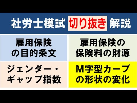 【社労士模試解説】雇用保険の目的条文／雇用保険の保険料の財源／ジェンダーギャップ指数／Ｍ字型カーブの形状の変化【切り抜き解説】