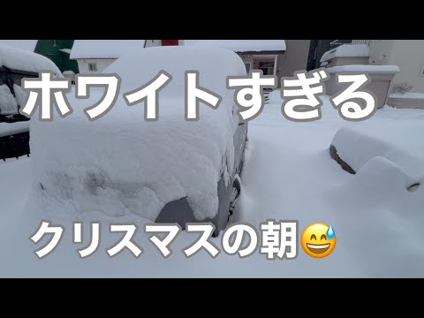 【札幌雪】ホワイトクリスマスの今朝の積雪　１２月２４日