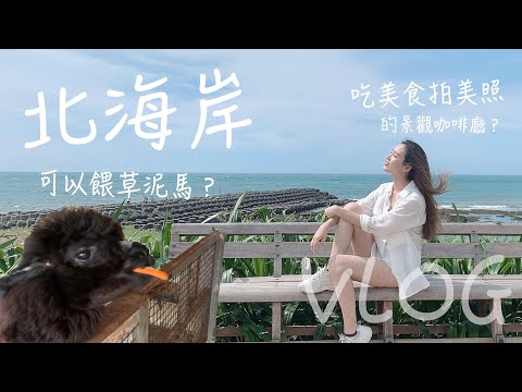 草泥馬咖啡廳？最強海景咖啡廳？北海岸吃喝玩樂Vlog!