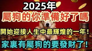 2025年，屬狗的你準備好了嗎，開始迎接人生中最輝煌的一年！#智慧 #励志 #感情 #人生 #生肖 #生肖運勢 #生肖狗 #2025