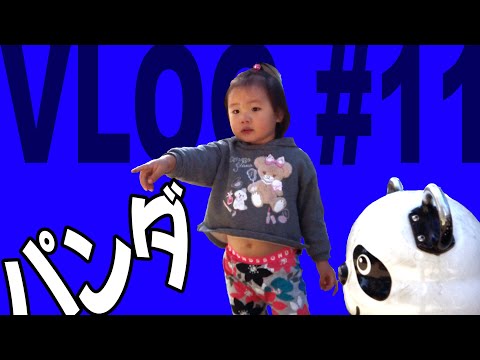 【VLOG #11】桜子ちゃんパンダ🐼になかなか興味持ってくれない⁉️ダディーは推すよ❗️パンダ🐼