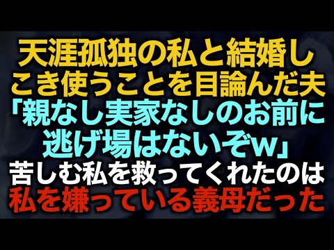 【スカッとする話】天涯孤独の私と結婚しこき使うことを目論んだ夫「親なし実家なしのお前に逃げ場はないぞw」苦しむ私を救ってくれたのは私を嫌っている義母だった…【修羅場】