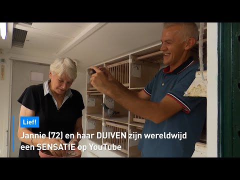 Jannie (72) en haar duiven zijn wereldwijd een sensatie op YouTube | Hart van Nederland