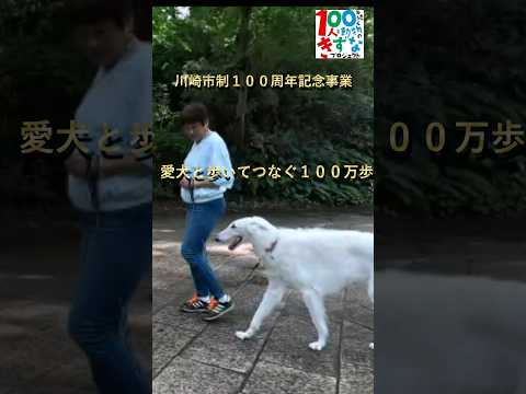 多摩区版　ショート動画＃犬と歩く川崎市の名所