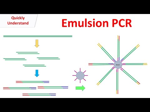 Emulsion PCR