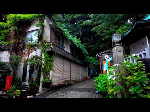 Heavy rain, walking around the island of shrines where the gods live. Enoshima, Japan. [4K ASMR]