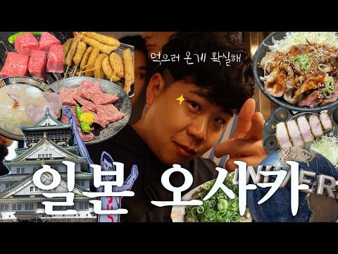 🇯🇵 일본 오사카 여행 브이로그 | 오사카 현지인 추천 맛도리 코스🌟 | 도톤보리,헵파이브,유니버셜스튜디오,우메다배팅돔,하나타코,야끼니꾸고리짱