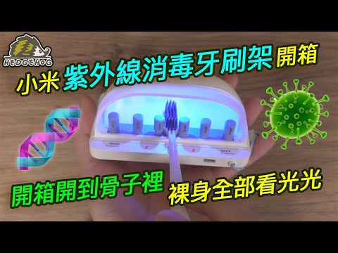 另類開箱-紫外線消毒牙刷架/Alternative Unboxing of Xiaomi Oclean S1 Smart UV Toothbrush Sanitizer【Hedgehog刺蝟幫】