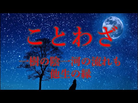 ことわざ５　一樹の陰一河の流れも他生の縁