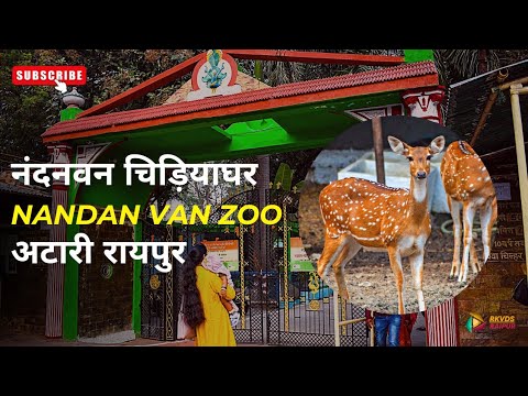 Nandanvan zoo l नंदनवन चिडियाघर l Kumhari l Raipur Chhattisgarh l RKVDs