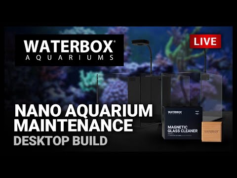 Episode 151: Nano Saltwater and Freshwater Aquarium Maintenance.