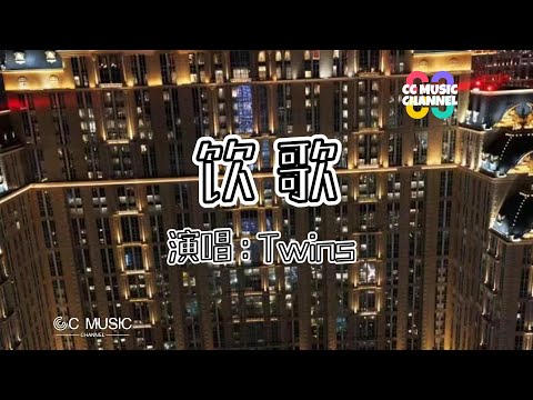 Twins - 飲歌『一開心唱飲歌,不開心唱飲歌』💜【#动态歌词lyrics video】【高音质 动态歌词lyrics】【動態歌詞/Vietsub/Pinyin Lyrics】🎵🎧🧡