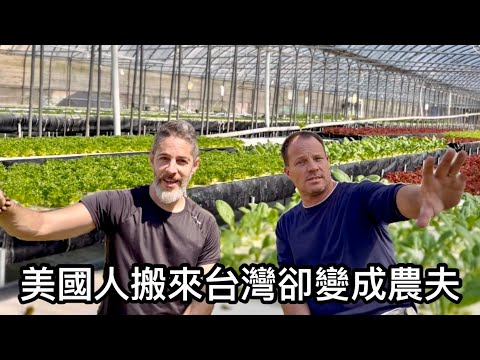 🇺🇸美國人來台灣 從商人變成農夫 🇹🇼Taiwan Organic Hydroponic Farm￼