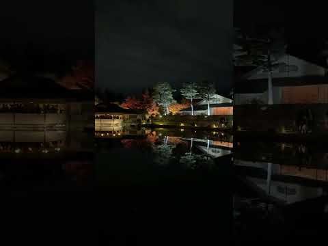 秋の夜散歩2024 / Autumn Night Walk 2024 (Shorts 2) -- 日本庭園 -- 国営昭和記念公園 (2024/11/24)