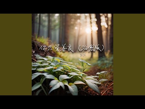 你只管善良 (治愈版)