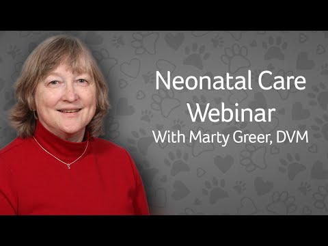 How to Care for Newborn Puppies & Kittens: Neonatal Care with Dr. Greer