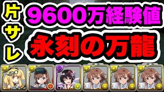 【ランク上げスパノエ集め】9600万経験値‼️片サレ永刻の万龍 御坂美琴周回編成・立ち回り紹介！！【#電撃文庫コラボ】【#パズル&ドラゴンズ】