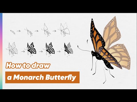 How to draw a monarch Butterfly