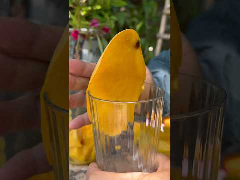 We just learned the easiest way to peel a mango! 😧 #mango #DIY #themoreyouknow #learning