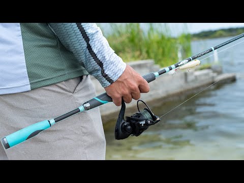 The BEST Fishing Rod For The Money? - Toadfish Rod Review