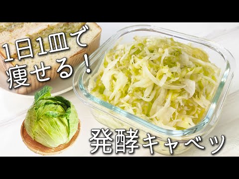 【発酵 キャベツ】 簡単！失敗しない！ 食前に食べる 腸活 レシピ！ 長期保存 や 大量消費  にも 毎日食べたい 発酵 春 キャベツ 作り方  乳酸菌で免疫力アップ コールスロー