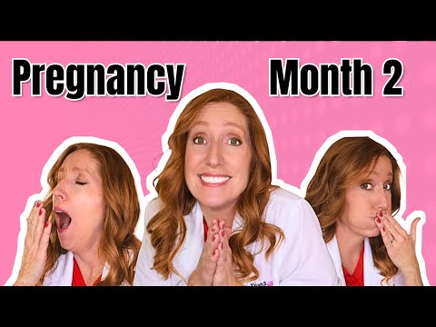 2 Months Pregnant | What to Expect in Pregnancy Week 5-8