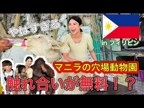 【フィリピン】マニラにある動物園で触れ合いが無料⁉️破格すぎる