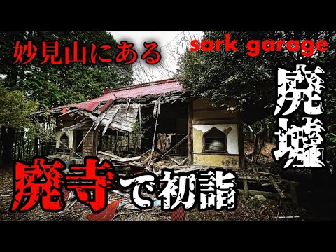 【廃寺で初詣！】妙見山にある忘れられたお寺の廃墟！巨木もあるよ！（本瀧寺→妙見宮の道中）