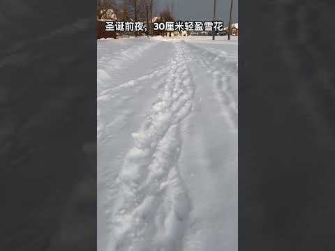 雪下到恰到好处，30厘米，轻盈而干净。可能是2024的最后一场好雪。