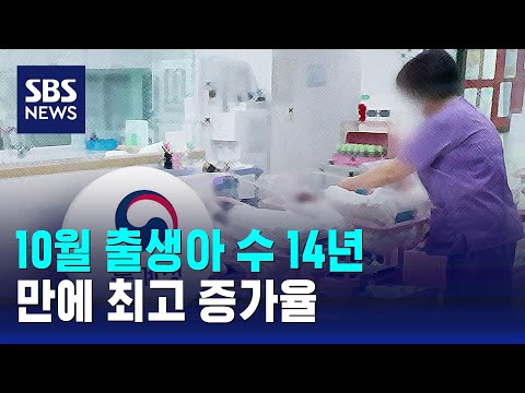 10월 출생아 수 14년 만에 최고 증가율 / SBS